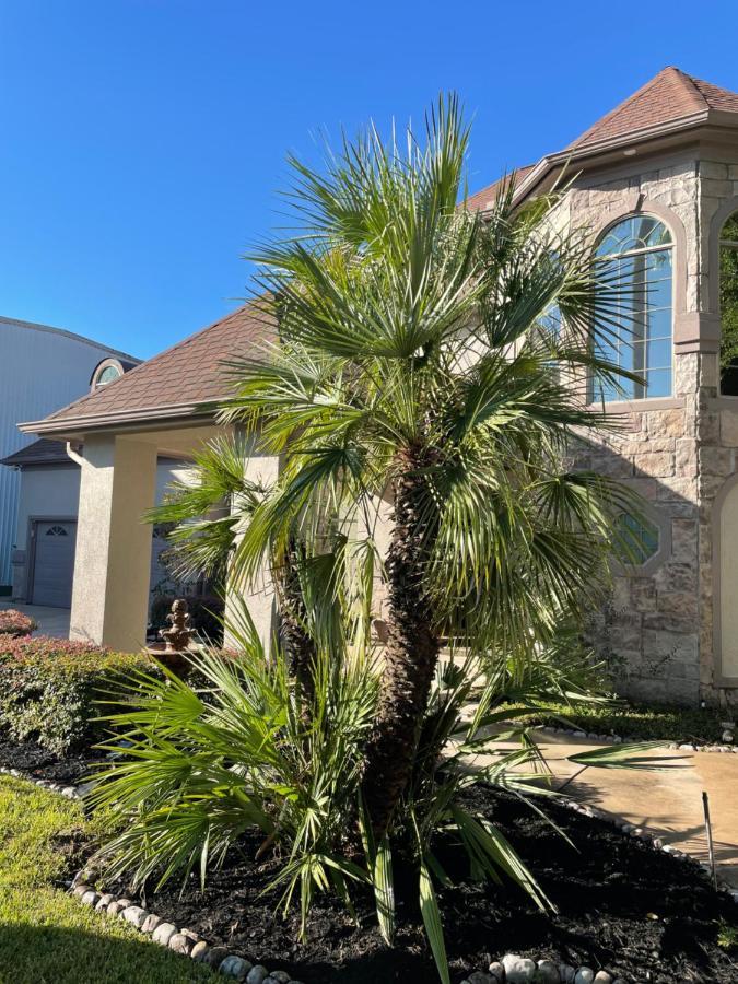Luxuria Mini-Mansion Near Houston Downtown Villa Exterior foto